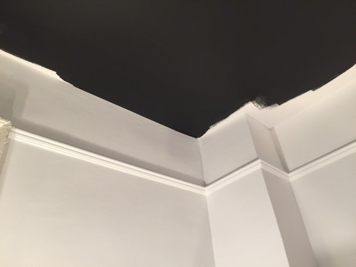 I painted the ceiling first, almost all the way up to the wall. 